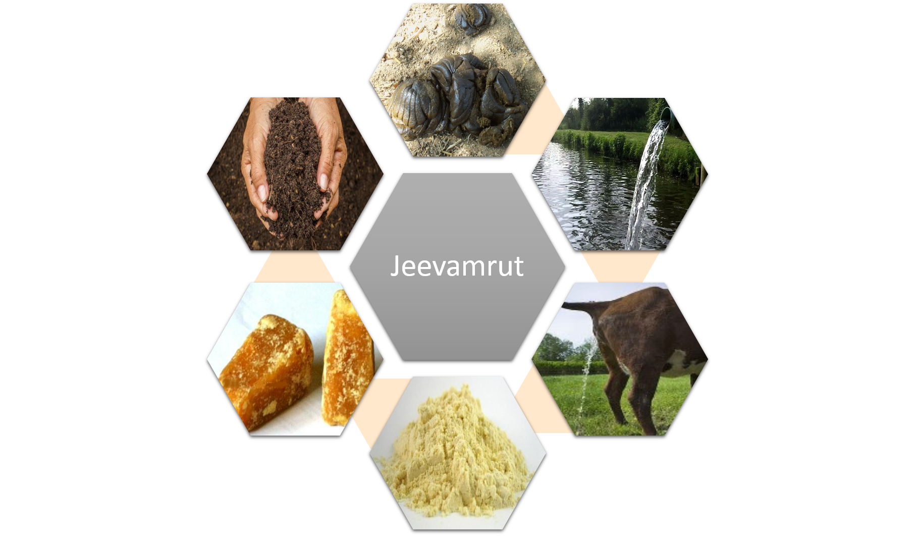 Jeevamrut Ingredients